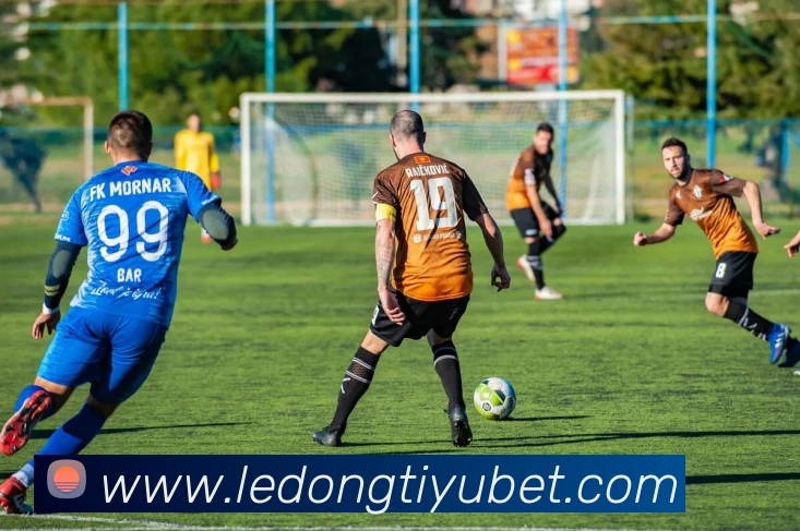 乐动体育APP 封面图